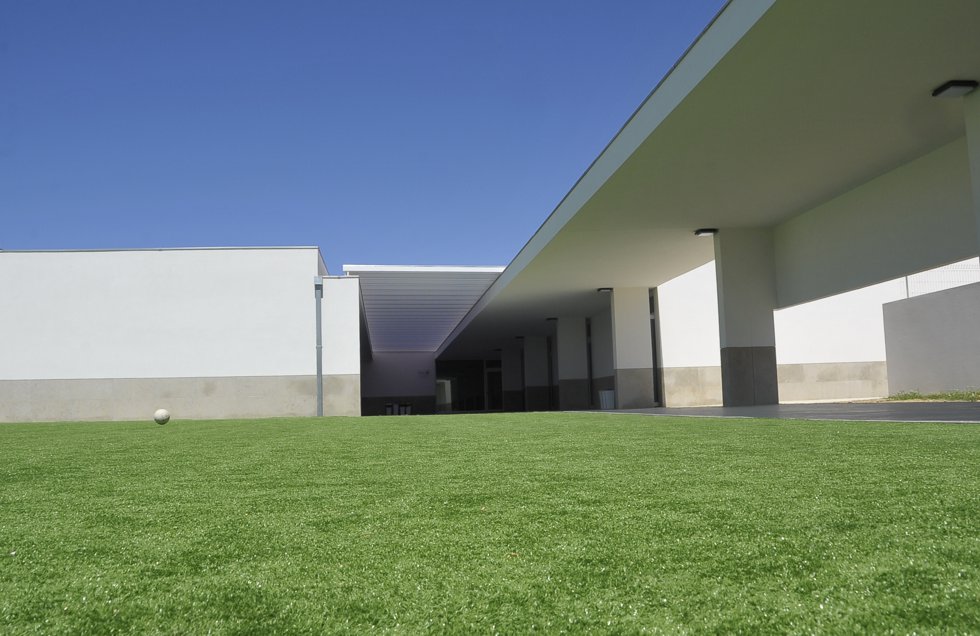 980cartaeducativa_1_980_2500.jpg