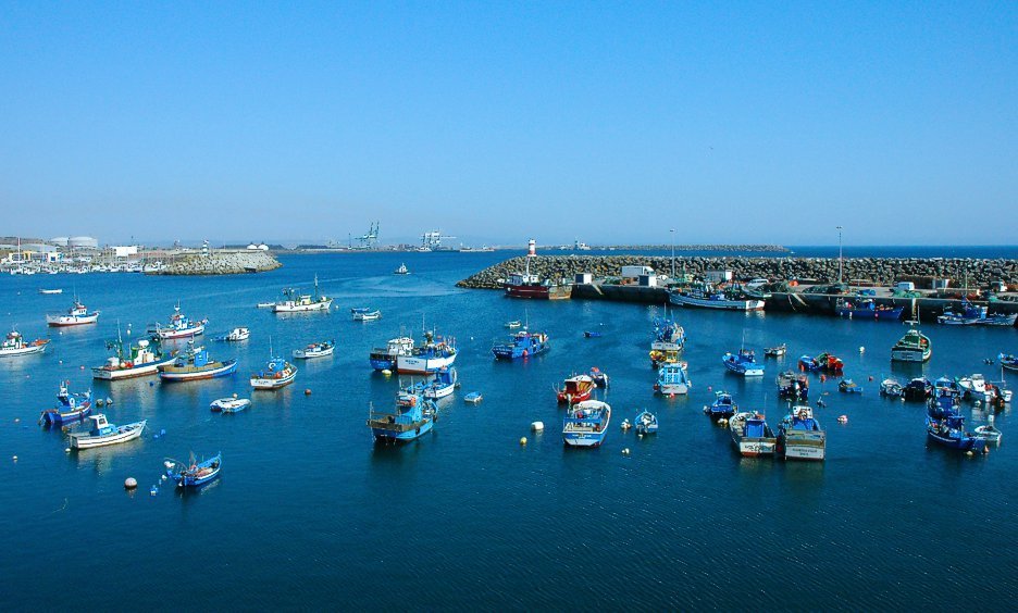 980portopesca_1_980_2500_1_980_2500