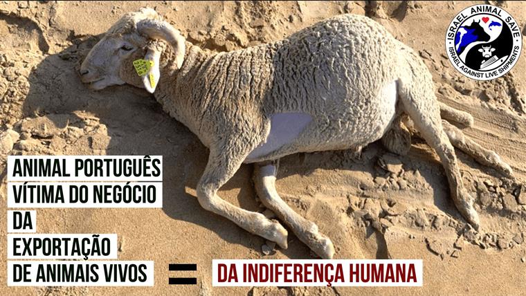 709367.png