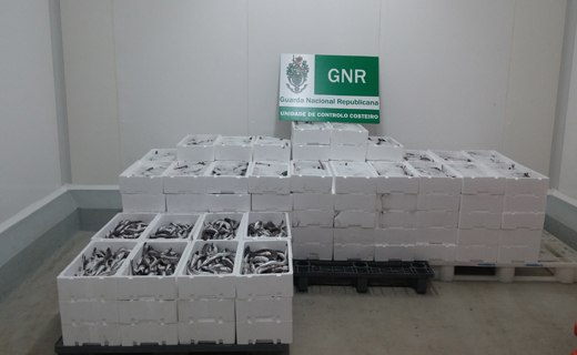 gnr-ucc-apreensao-site