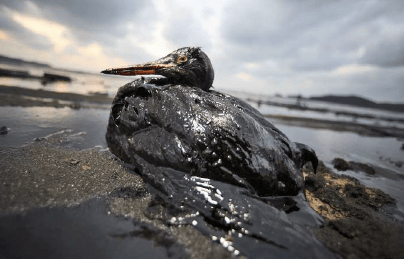 derrame_petroleo-01.png