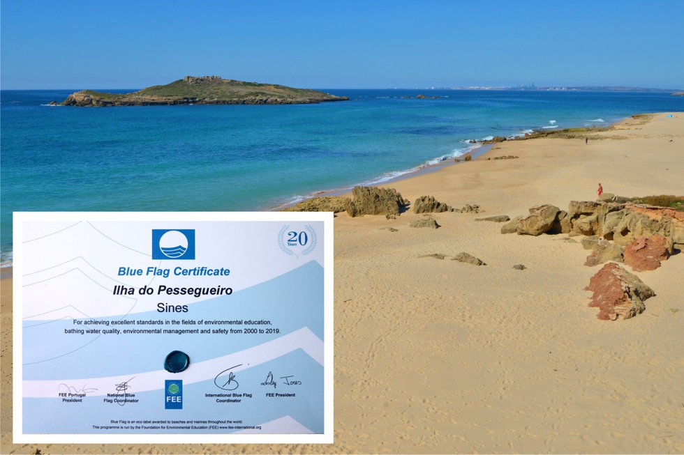 980ilha_1_980_2500.jpg