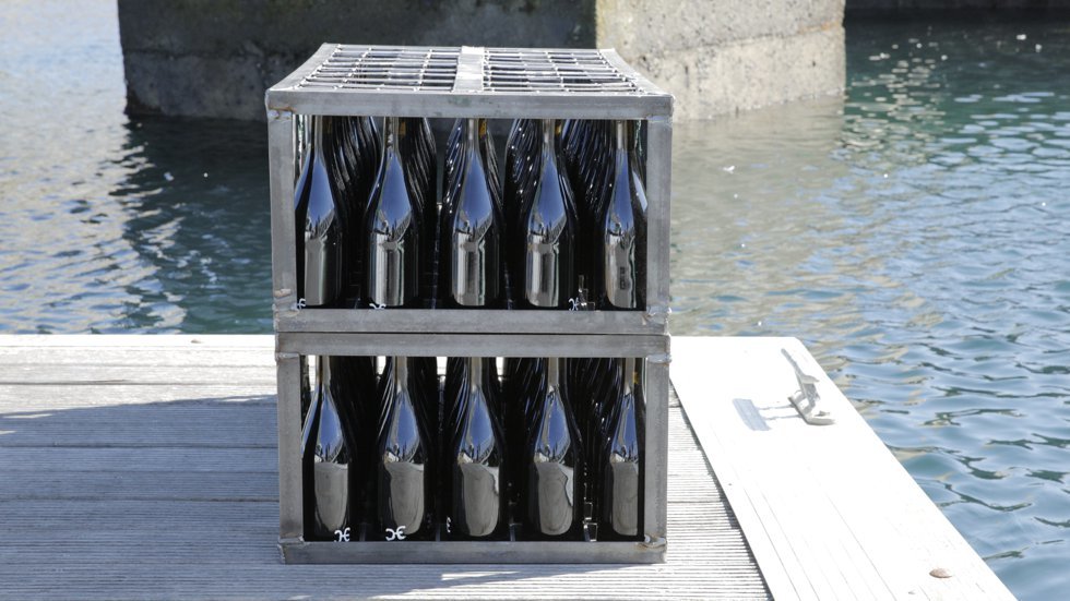980vinho_1_980_2500.jpg