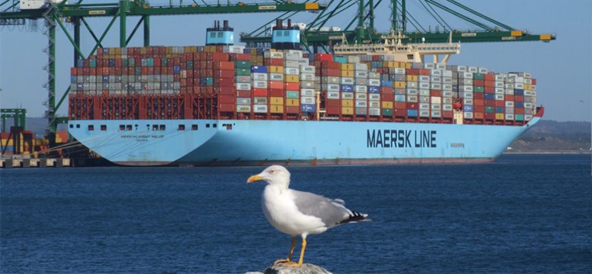 maersksines-864x400_c.jpg
