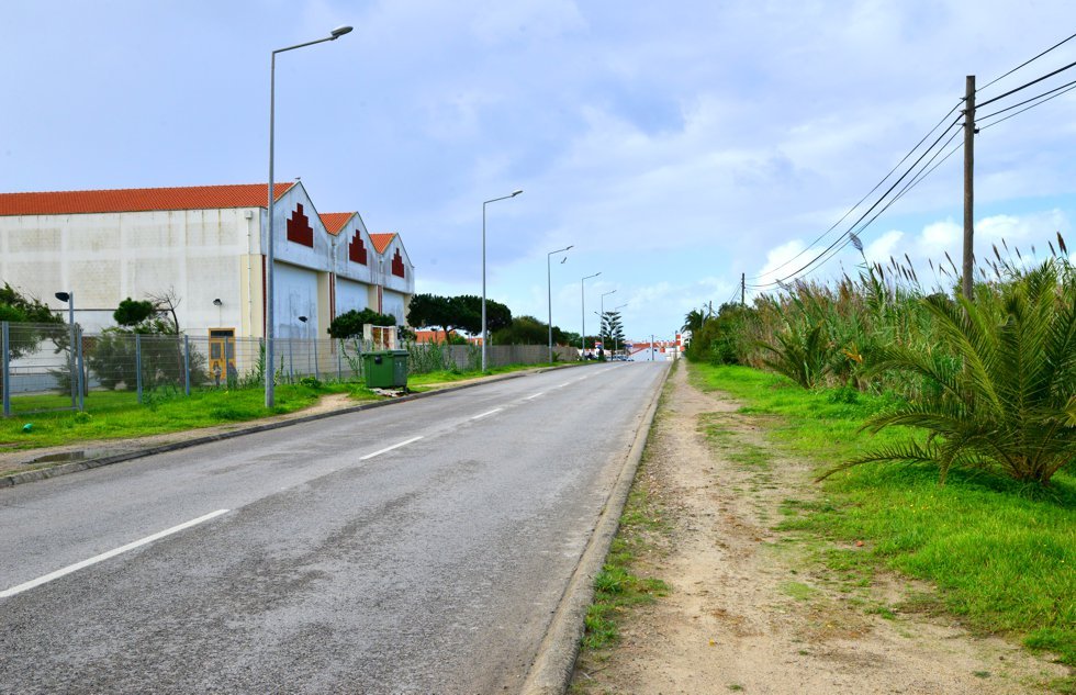 estradafloresta_1_980_2500