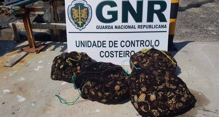 GNR-UCC_apreensao-de-lapas_sines-770x410.jpg