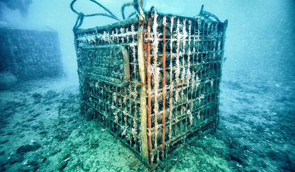24DEEP2-articleLarge.jpg