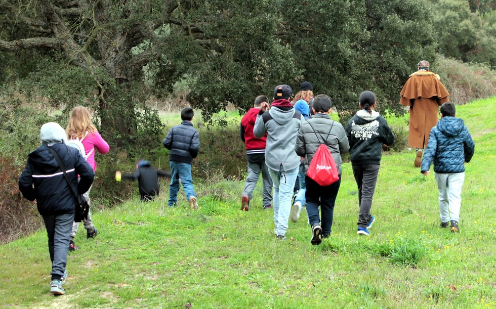 980provenca2_1_980_2500.jpg